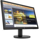 HP P21b G4 20.7' FHD 5ms Monitor 9TY24AA